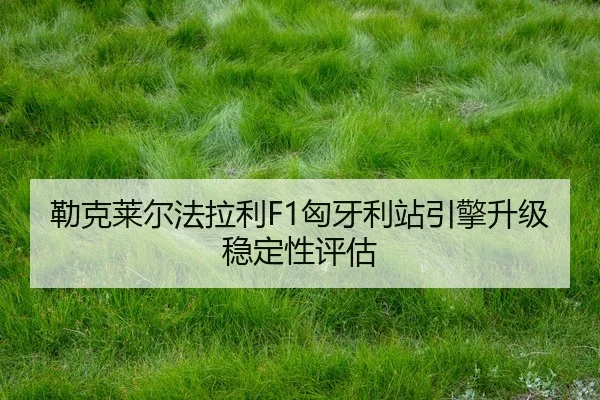 lei-ke-lai-er-fa-la-li-xiong-ya-li-zhan-yin-qing-sheng-ji-wen-ding-xing-ping-gu-2-422.jpg