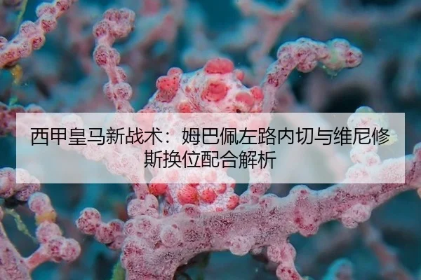 xi-jia-huang-ma-xin-zhan-shu-mu-ba-pei-zuo-lu-nei-qie-yu-wei-ni-xiu-si-huan-wei-pei-he-jie-xi-3-902.jpg