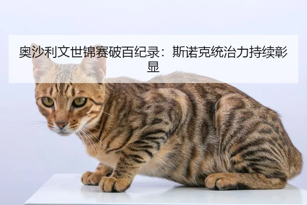 奥沙利文世锦赛破百纪录：斯诺克统治力持续彰显