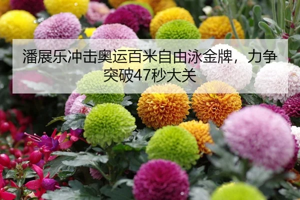 潘展乐冲击奥运百米自由泳金牌，力争突破47秒大关