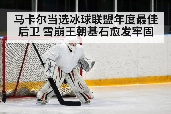 马卡尔当选冰球联盟年度最佳后卫 雪崩王朝基石愈发牢固